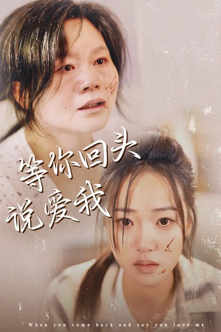 等你回头说爱我 海报